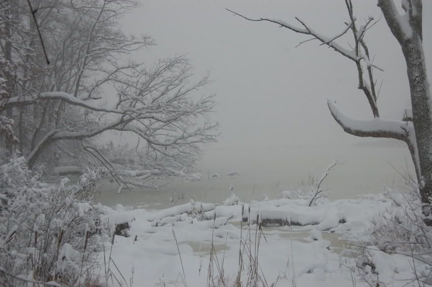 DSC_0109.jpg