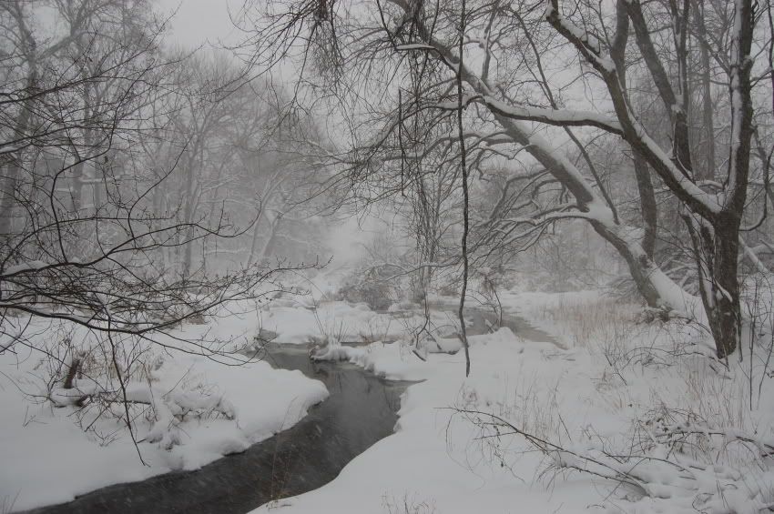 DSC_0114.jpg
