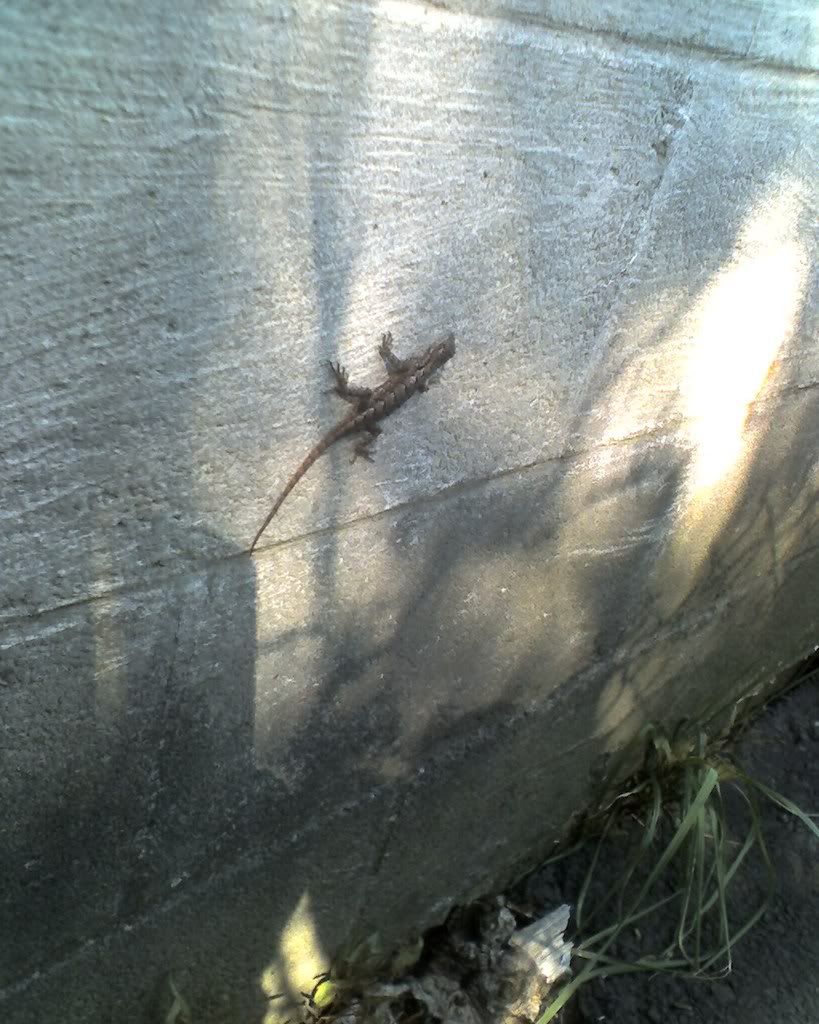wallguy.jpg