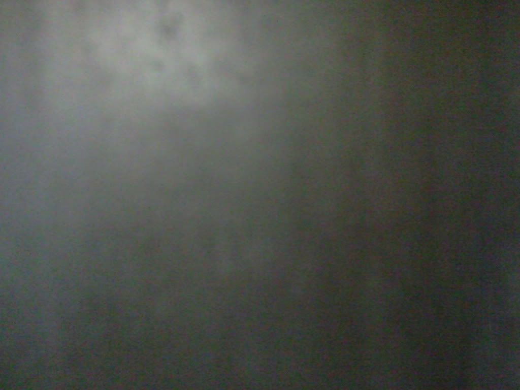 Foto0441.jpg?t=1294519731