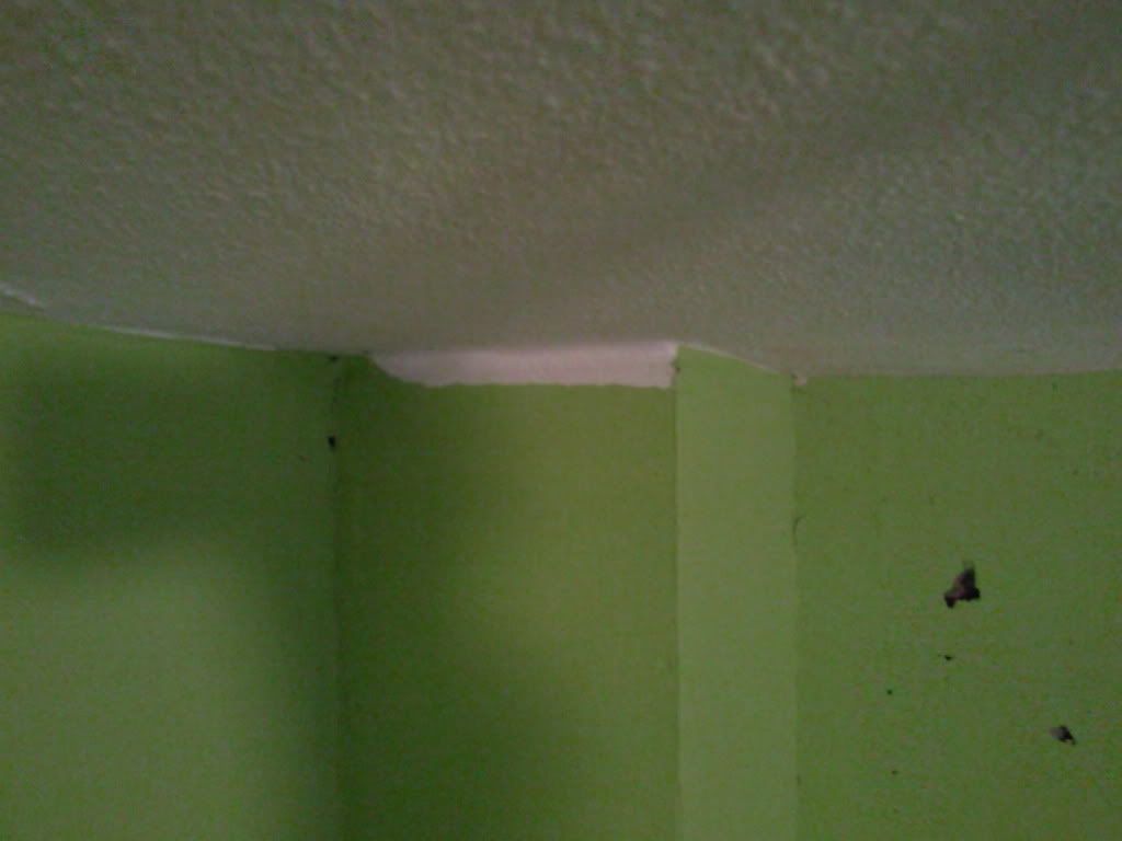 Foto0442.jpg?t=1294519825