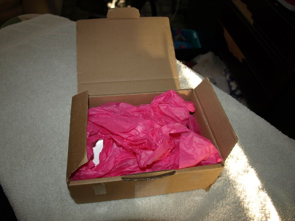 PR260049.jpg?t=1293372335