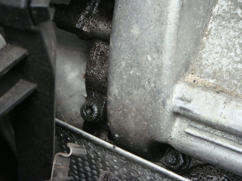 Oil Leak Not Sure Where (Pics)