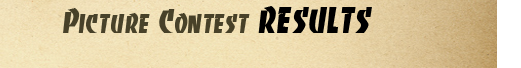 r4_zpsa05b5a23.png