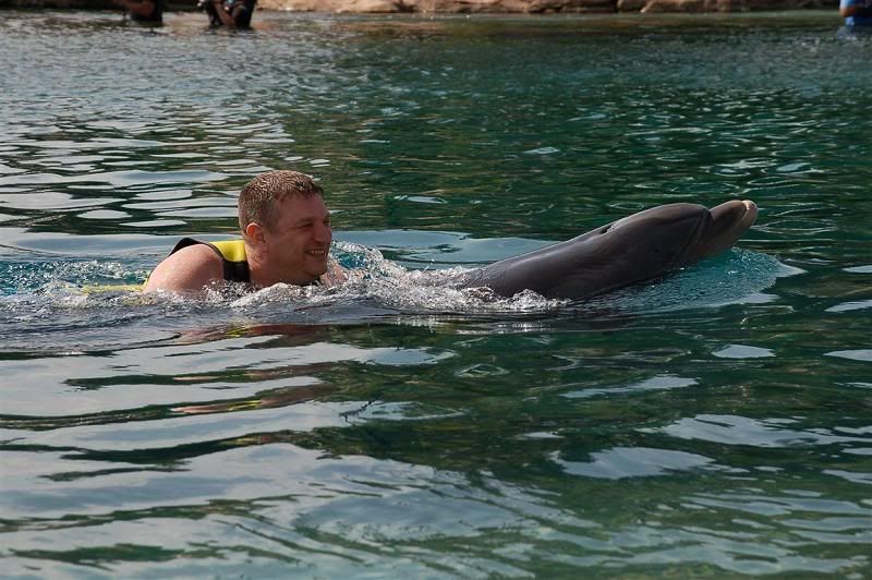 DiscoveryCove2.jpg Swimming with dolphins image by bisto4106