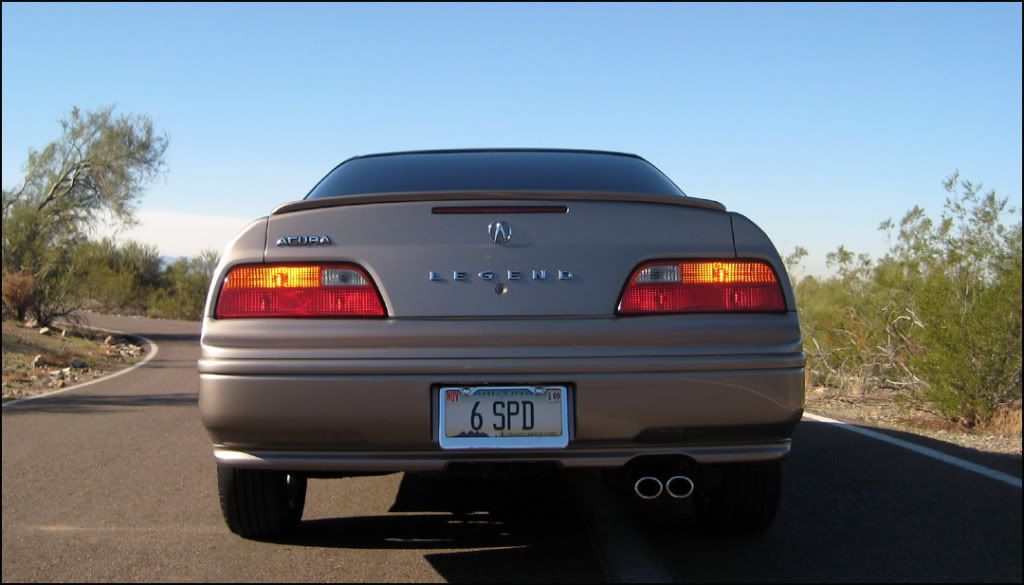 back-6.jpg