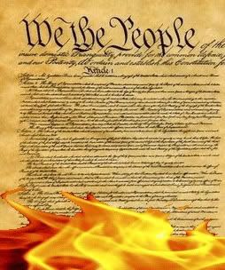 constitution-in-flames.jpg