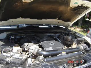 DSC02468-1.jpg