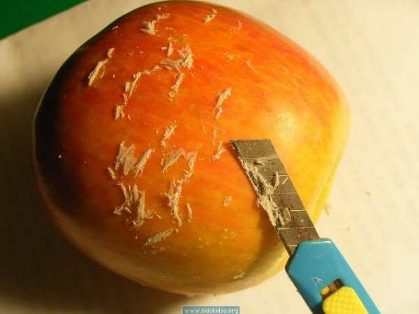 [hati-hati]jangan Makan Kulit Apel..!!! [ www.BlogApaAja.com ]