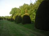 DSCN4225.jpg
