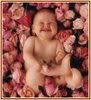 flower_20baby_c08l_cmcq.jpg
