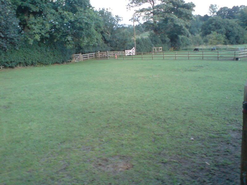 004-10.jpg