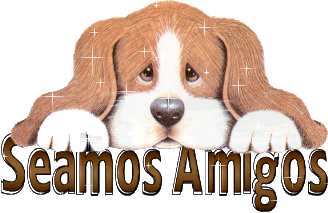 SEAMOS AMIGOS