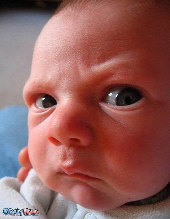http://i301.photobucket.com/albums/nn50/brookesphotos27/baby_is_angery.jpg