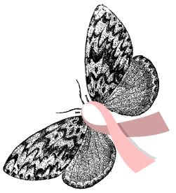 http://i301.photobucket.com/albums/nn50/brookesphotos27/breast_cancer_awareness_moth.jpg