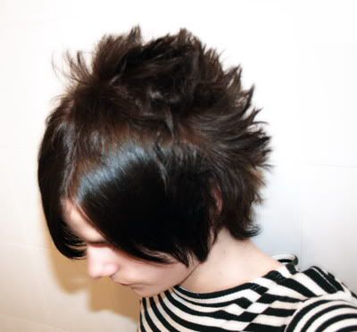  Hairstyles on How To Do Emo Hairstyles With Female Emo Hairstyles Typically Female