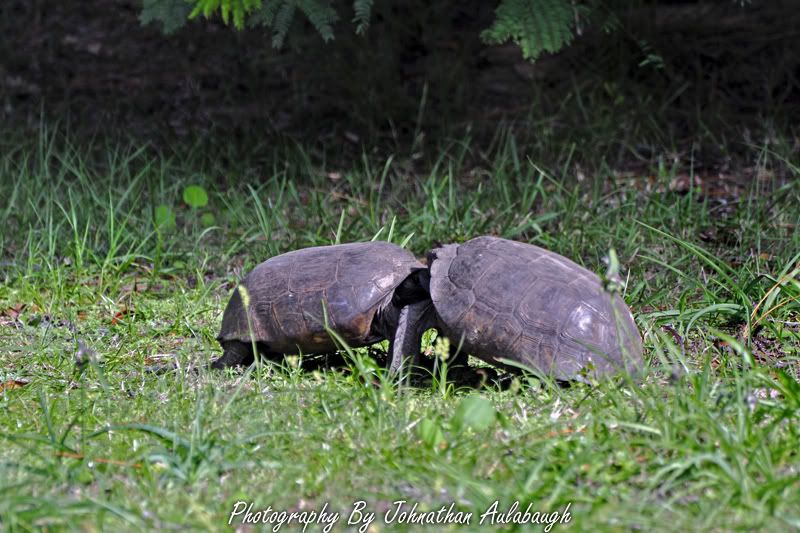 20111109_0543.jpg