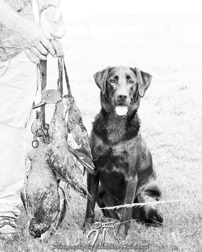 20111120_0810-2.jpg
