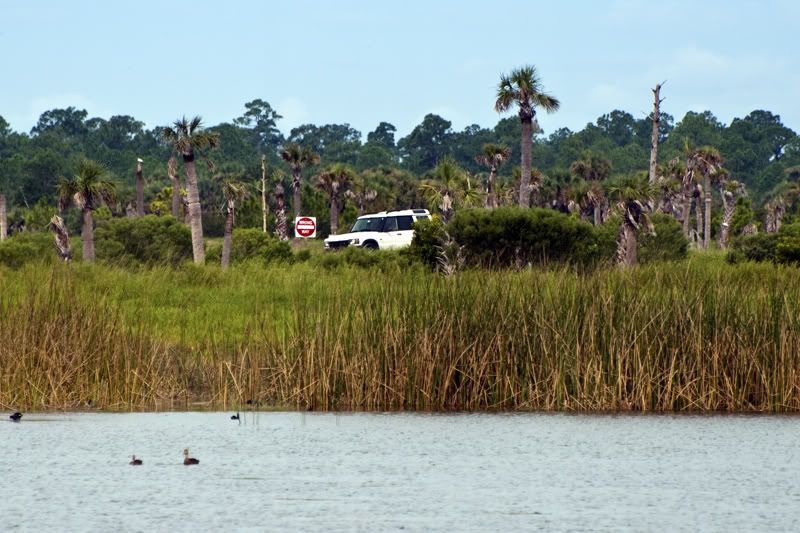 Wetlands08302011011.jpg