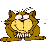 th_animated_welcome_cat.gif