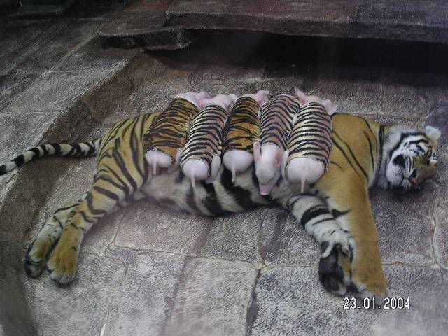 image1.jpg