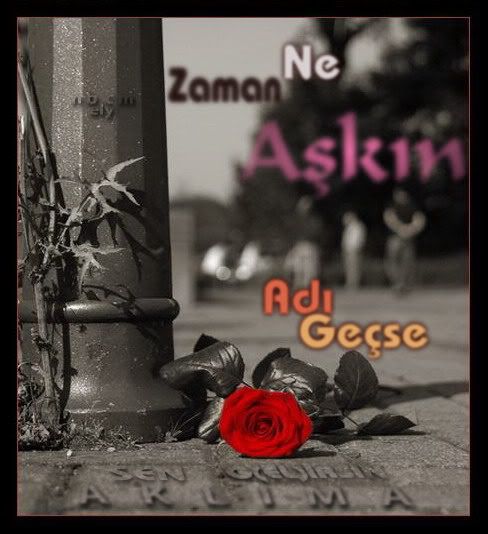 nezamanpa1.jpg