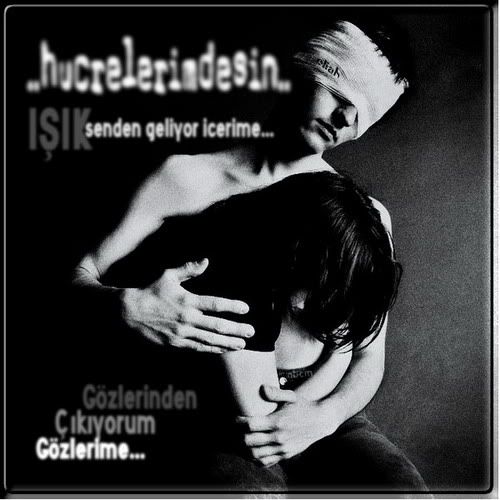 yineseninlets0.jpg