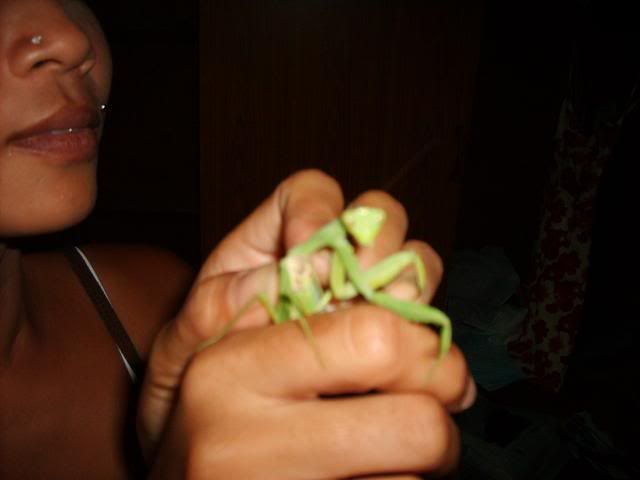 Posted Image