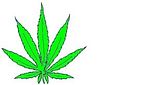 potleaf.jpg image by grenuda831