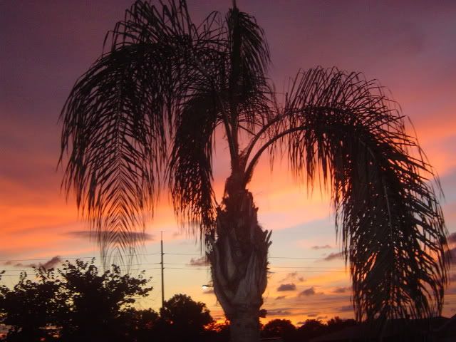 DSC00124.jpg