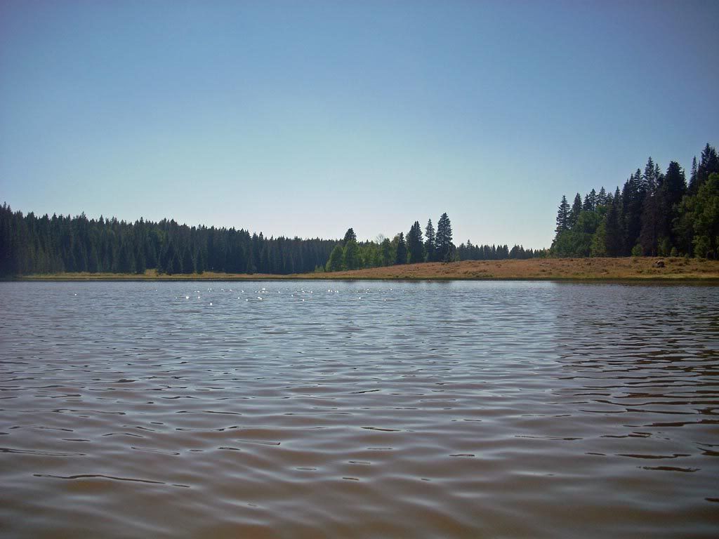 Griffith Lake