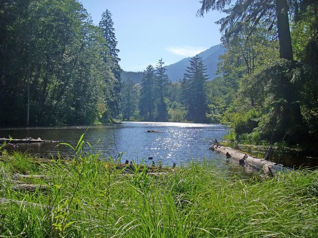 middle fork snoqualmie slough