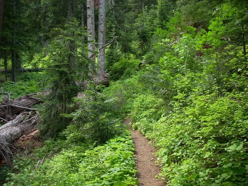 thorp lake trail