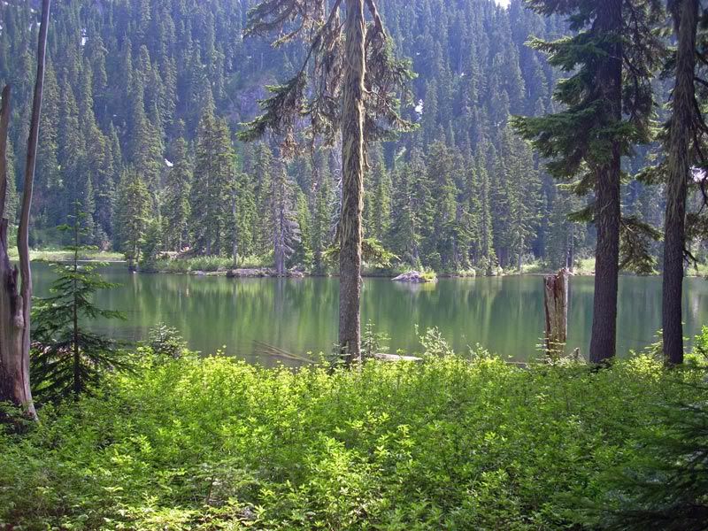 First view of Thorp Lake