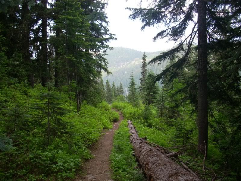 thorp lake trail