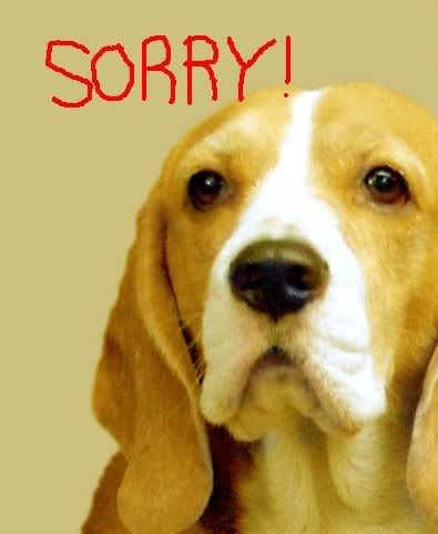 sorry-puppy