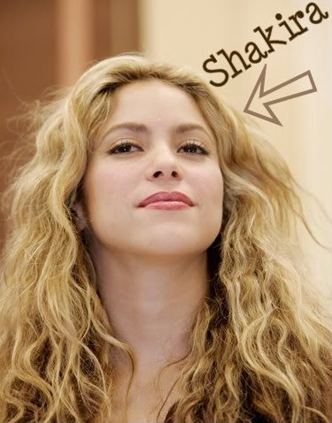 http://i301.photobucket.com/albums/nn64/sssaam/shakira.jpg?t=1255819600