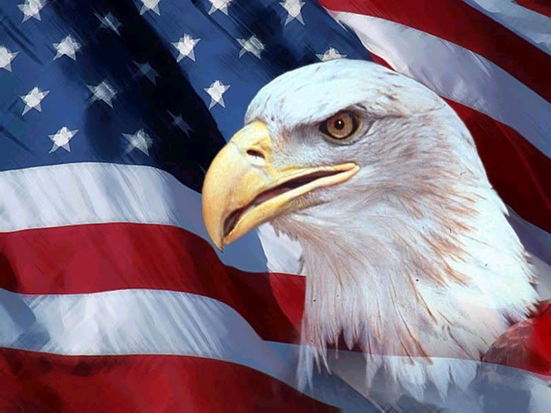 american flag wallpaper. 77%. American