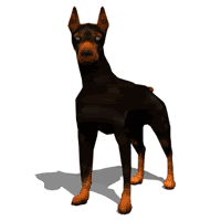 doberman gif