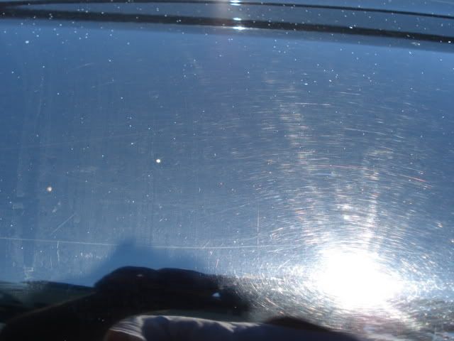 DSC01816.jpg
