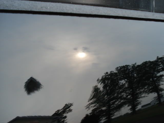 DSC01883.jpg