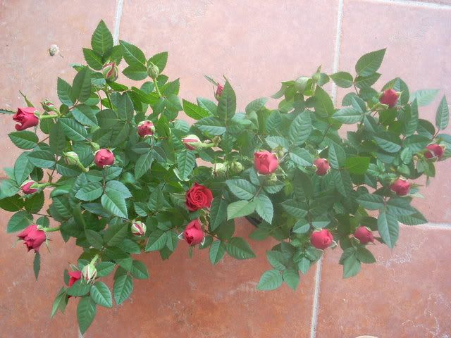 DSCN0329.jpg