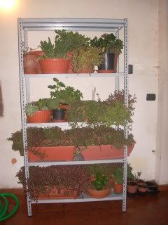 DSCN0599.jpg