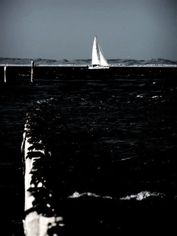 Fotografie
