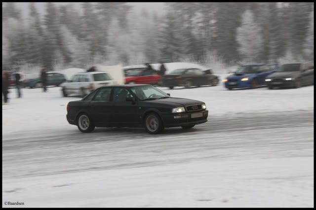 IMG_1037a.jpg