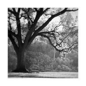 Black ad white. Pictures, Images and Photos