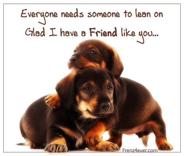 Join 'Frenz 4 Ever' for FREE cards, Shayari and Masti Unlimited friendship-quotes-cards