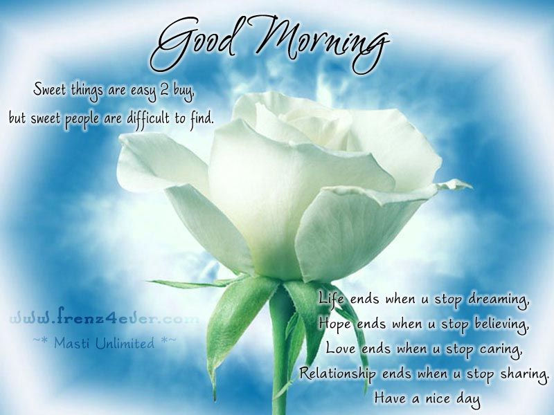 Good Morning Cards Collection good-morning-rose-cards