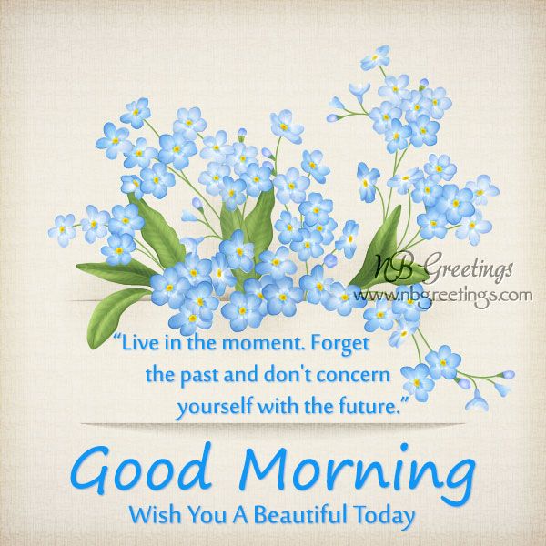 Good Morning Wishes Cards with Flowers Good Morning flowers card