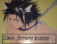 zackthepuppy.jpg